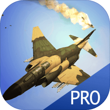 Strike Fighters (Pro)