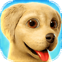 Dog Town: Pet Shop Game, Care & Play with Dog