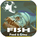 FEED BATTLE - FISH AND GROW TUTO