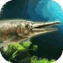 Alligator Gar raising from fry