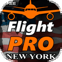 Pro Flight Simulator NY Free