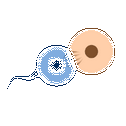 Cell Lab: Evolution Sandbox