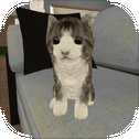 Kitty Cat Simulator