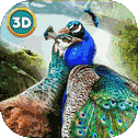 Peacock Simulator 3D