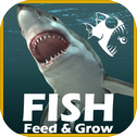 FEED AND BATTLE - GROW FISH THE REAL GAME