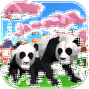 Panda Simulator  3D – Animal Game