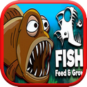 Feed fish and grow