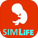 SimLife for BitLife