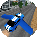 Flying Car Driving Simulator