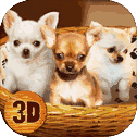 Chihuahua Dog Simulator 3D