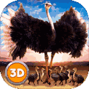 Ostrich Bird Simulator 3D