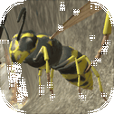 Wasp Nest Simulator - Insect and 3d animal game