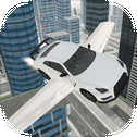 Flying Car Sim