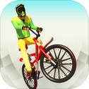 Real BMX Stunts