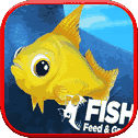 Feed & grow Fish