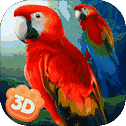 Wild Parrot Sim 3D: Jungle Bird Fly Game