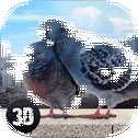 Pigeon Bird Survival Simulator 3D 2 Full