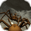 Spider Nest Simulator - insect and 3d animal game