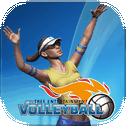 VTree Entertainment Volleyball